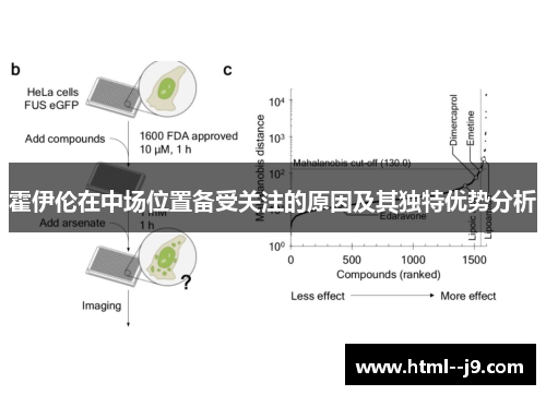 霍伊伦在中场位置备受关注的原因及其独特优势分析