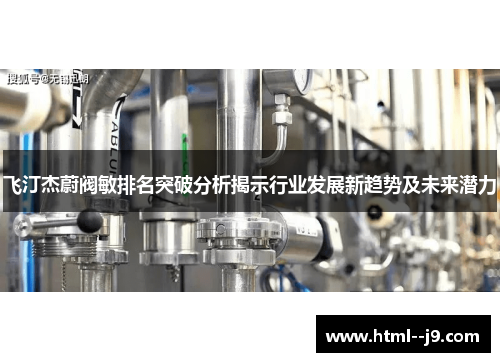 飞汀杰蔚阀敏排名突破分析揭示行业发展新趋势及未来潜力